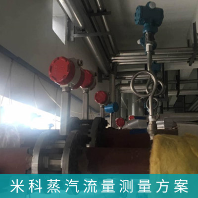 飽和蒸汽計量系統解決方案